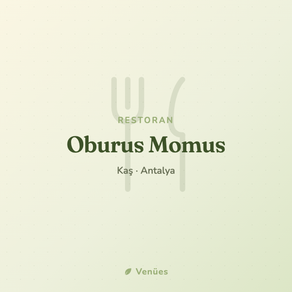 Oburus Momus 3